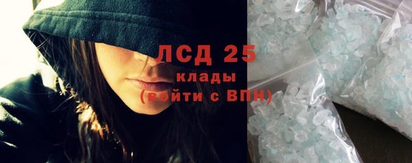 индика Касимов