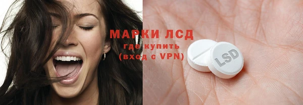 индика Касимов