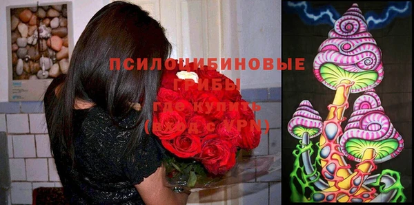 эйфоретик Каменка