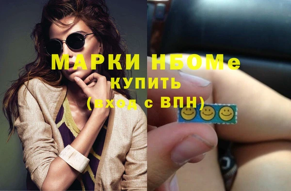 индика Касимов