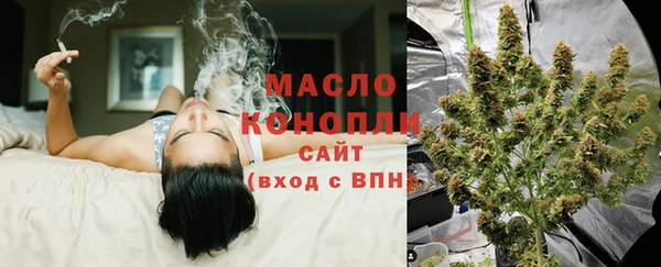 индика Касимов