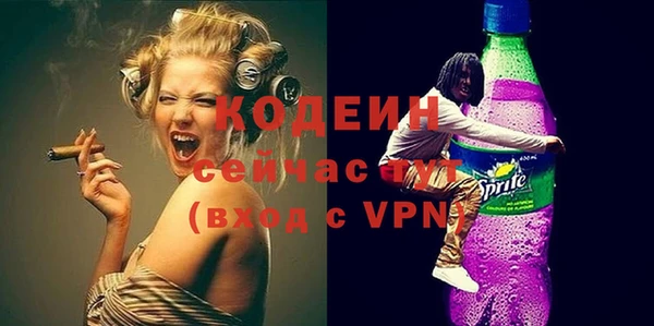 индика Касимов