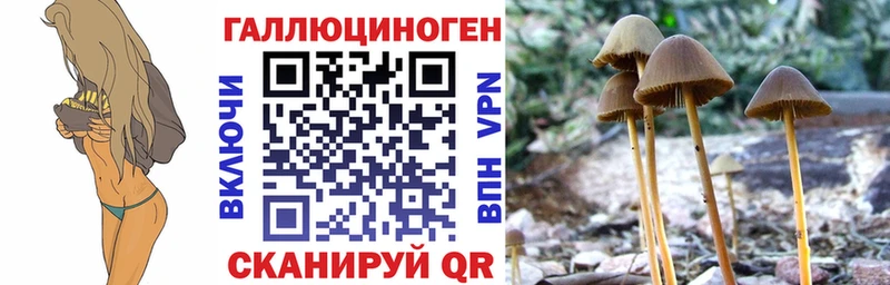 Купить где  Дагестанские Огни  Галлюциногенные грибы мухоморы 